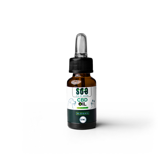 Olio CBD per animali